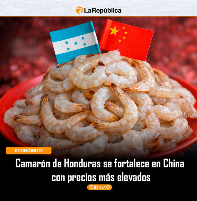 Camarón de Honduras se fortalece en China  con precios más elevados - Cover Image